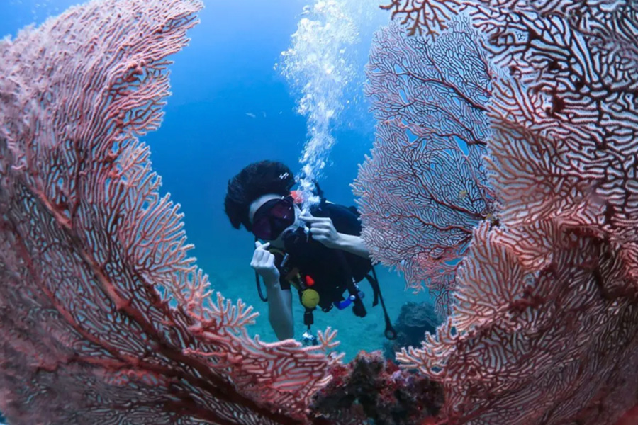 Discover the Ultimate Scuba Diving Adventure in Phuket Thailand